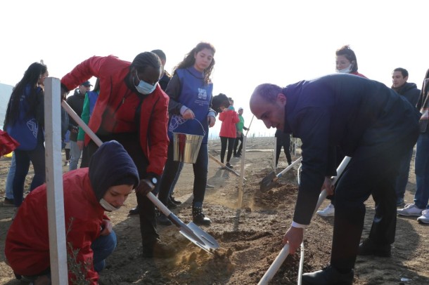 "Yaşıl Marafon" ağacəkmə kampaniyasında digər qurumlar da iştirak edir - FOTOLAR